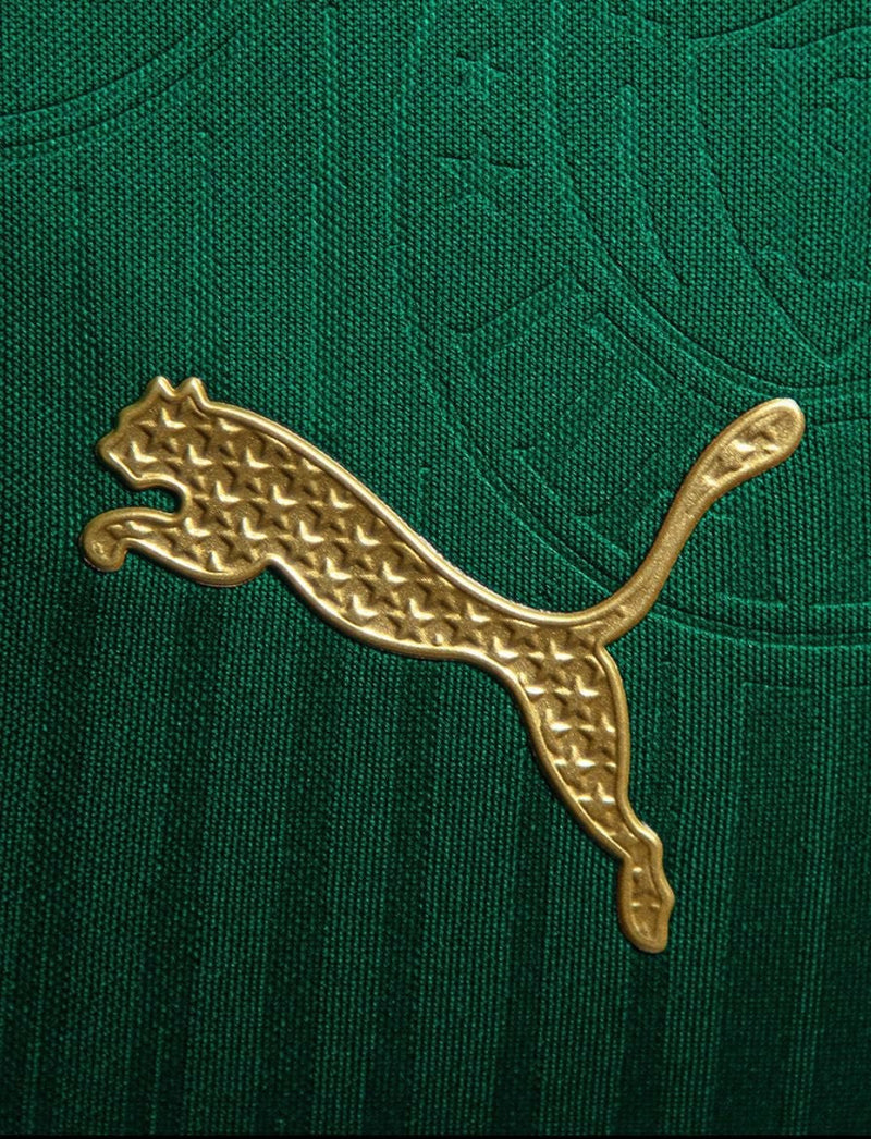 Camisa Palmeiras Home 24/25 - Verde e branca